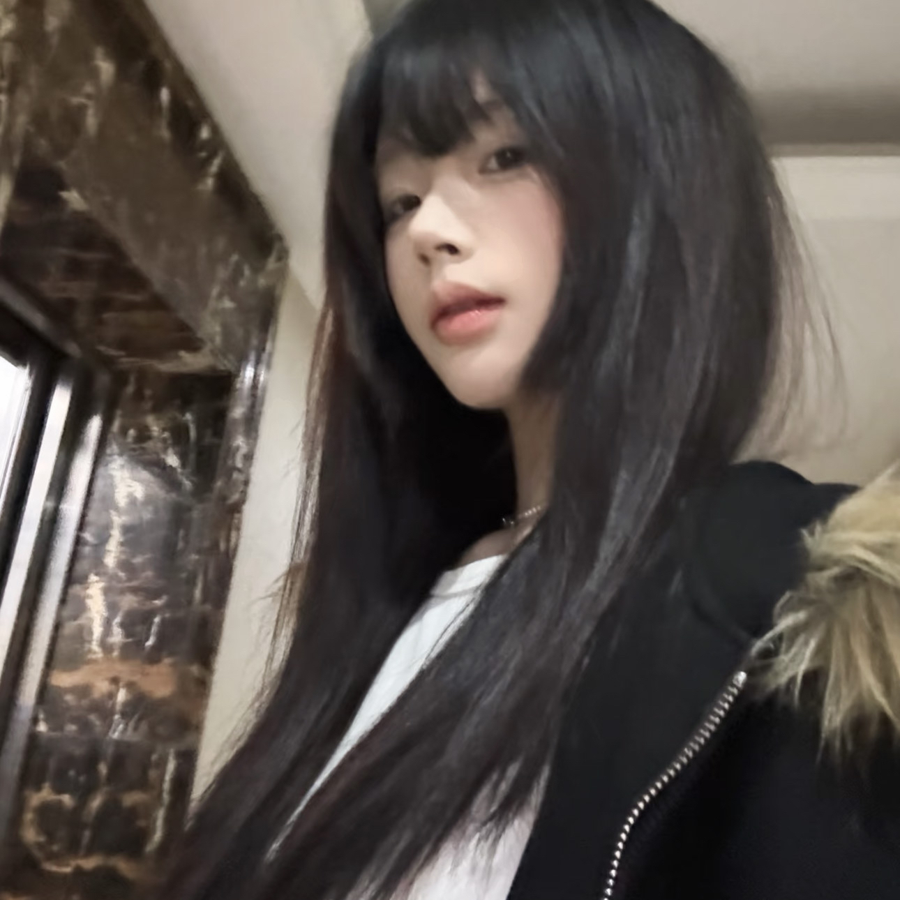 Staffordshire Bull Terrier